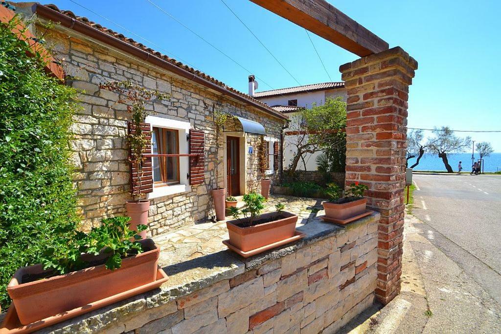 Villa Giardin Novigrad Istria 외부 사진