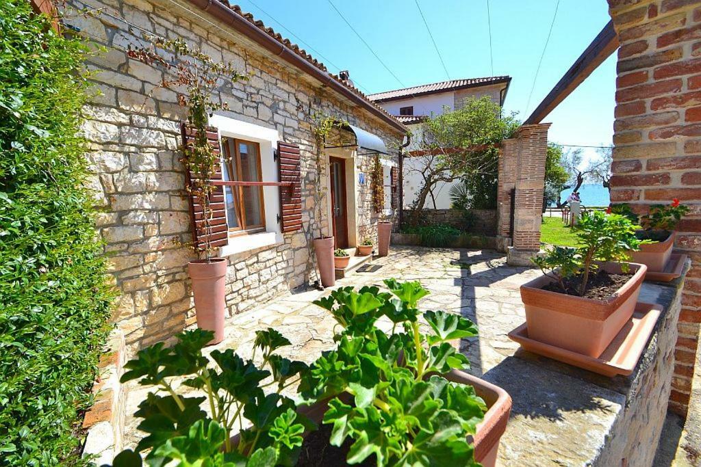 Villa Giardin Novigrad Istria 외부 사진